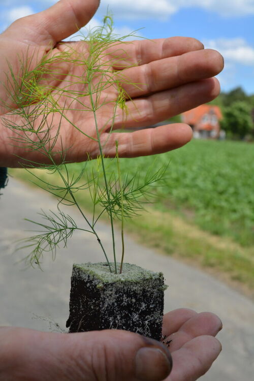 WIME - Im Kleinen liegt der Anfang.