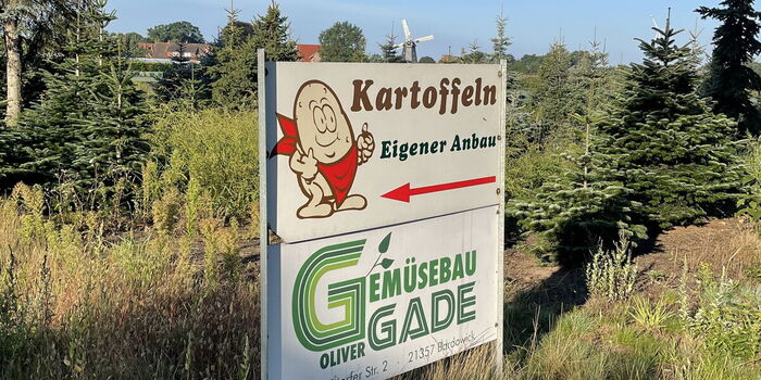 Grünkohl, Kartoffeln, Spargel, Rote Beete, Fenchel von Oliver Gade aus Bardowick