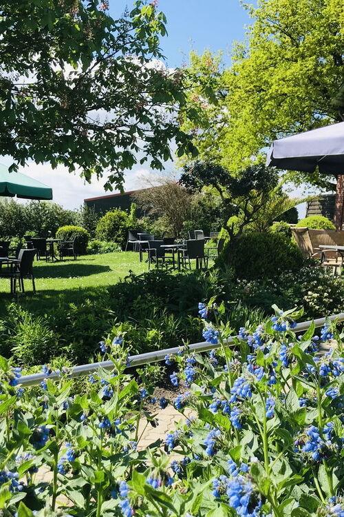 Großer und weitläufiger Garten in Hunden